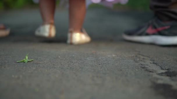 Вид Крупным Планом Пары Гуляющей Своим Ребенком Парке — стоковое видео