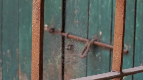 Вид Крупным Планом Паутины Переднем Плане Старых Ворот — стоковое видео