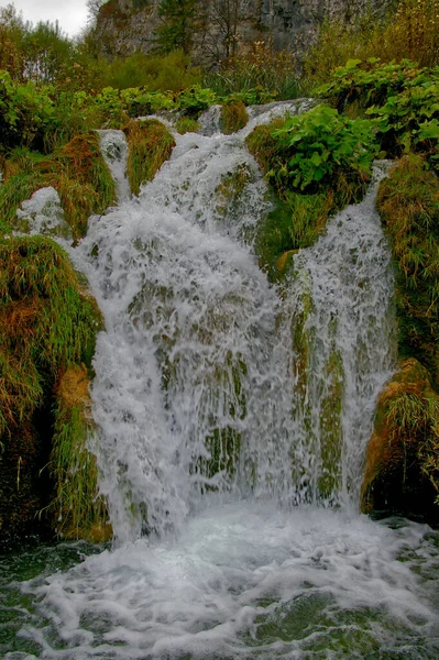 Uma Boa Foto Parque Nacional Dos Lagos Plitvice Croácia — Fotografia de Stock