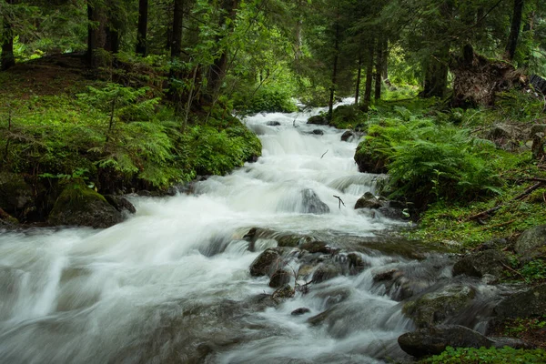 Une Belle Vue Sur Ruisseau Qui Coule Dans Une Forêt — Photo