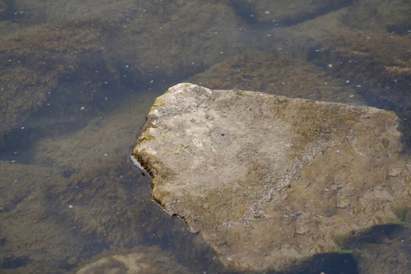 Ένα Κοντινό Πλάνο Από Μεγάλες Πέτρες Στο Θολό Νερό Της — Φωτογραφία Αρχείου