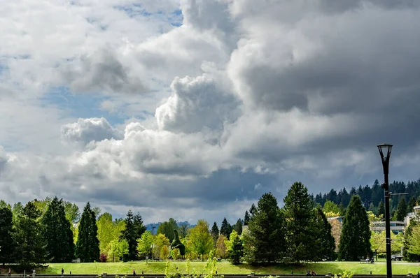 Beautiful Shot Green Landscape — Stock Photo, Image