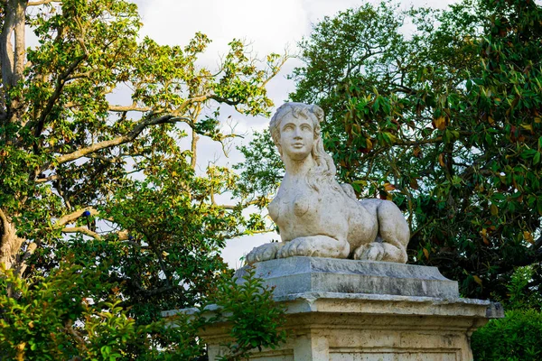 Uma Escultura Leão Fêmea Parque Aranjuez Espanha — Fotografia de Stock