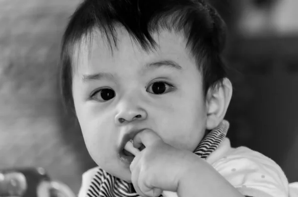 Grayscale Shot Cute Swiss Baby Boy Playing His Toothbrush — стоковое фото