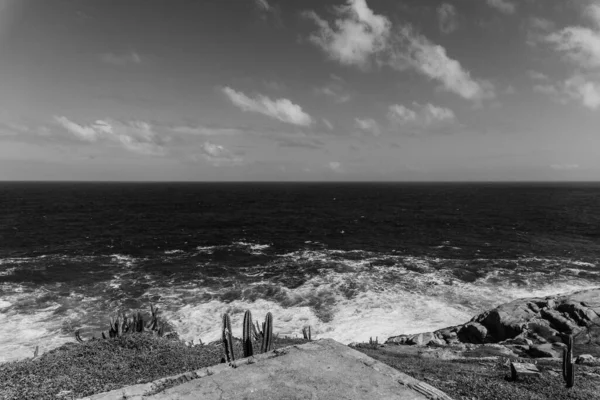 Grayscale Shot Atlantic Ocean Coast Brazil — Stock Photo, Image