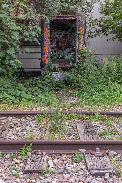 Vertical Shot Weeds Growing All Train Tracks — Stock Photo, Image