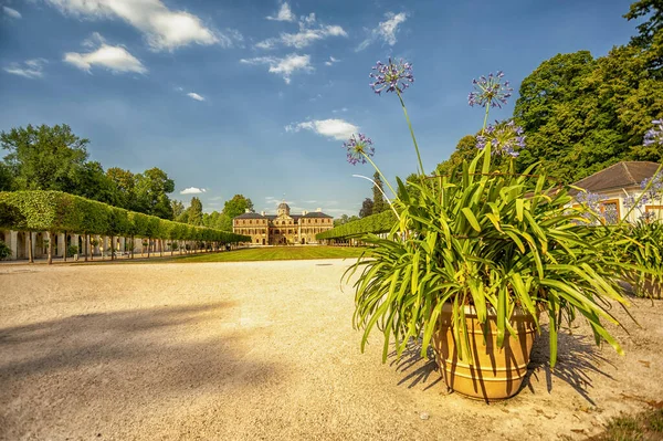 Blommorna Krukan Med Bakgrunden Schloss Favoritpalats Rastatt Tyskland — Stockfoto