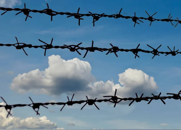 背景に空を背景にした鉄条網のショット — ストック写真