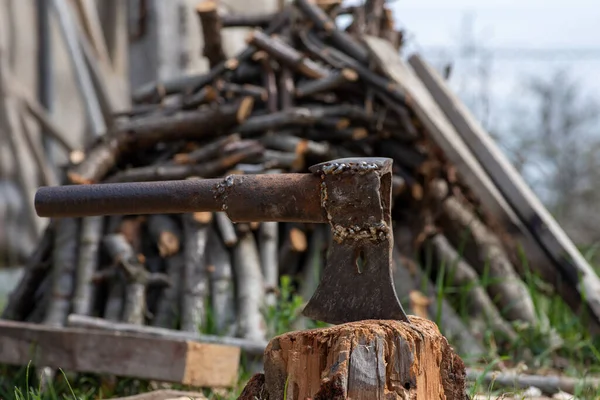 Woodchopper Sticks Out Wooden Hemp — Stock Photo, Image