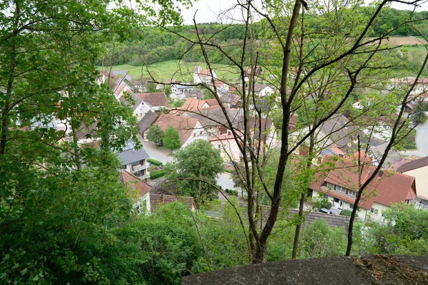 Uma Área Residencial Uma Floresta Verde — Fotografia de Stock