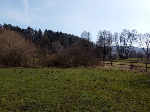 Een Landschap Met Groene Velden Bomen — Stockfoto