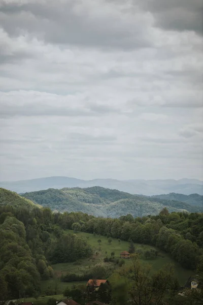 나무로 언덕들의 — 스톡 사진