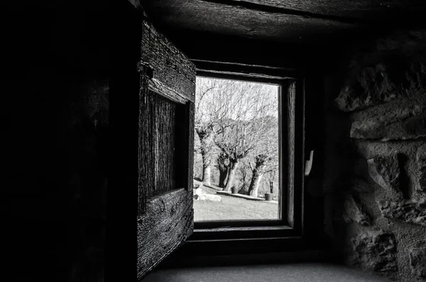 View Window Rustic House Beautiful Garden Trees Grayscale — Stock Photo, Image