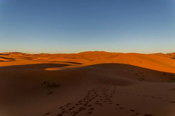 Een Uitzicht Schilderachtige Sahara Woestijn Duinen — Stockfoto