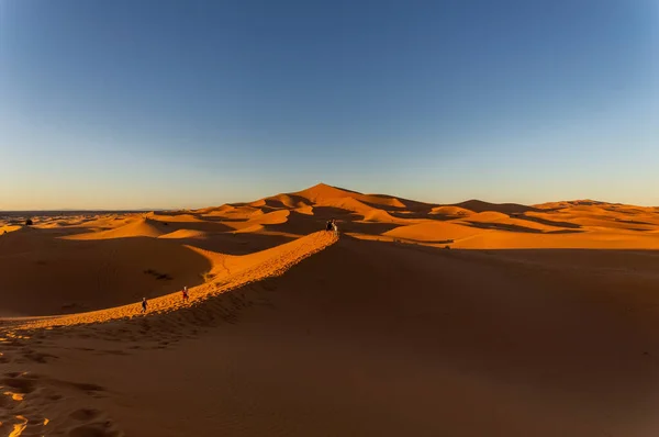 Dunas Pitorescas Deserto Saara Pôr Sol — Fotografia de Stock
