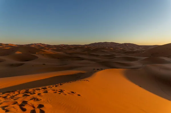 Endless Dunes Sahara Desert Sundown — Stock Photo, Image