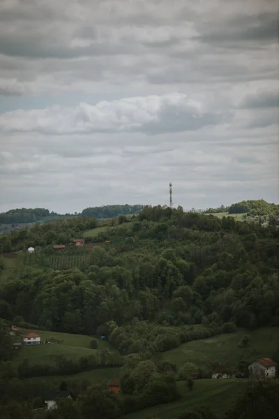 Pionowe Ujęcie Krzaczastego Lasu Drzewami Zachmurzonym Tle Nieba — Zdjęcie stockowe