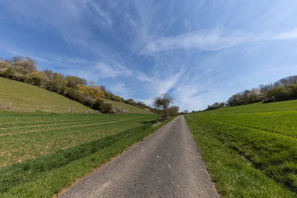 Lente Landschap Met Een Weg Gezaaid Velden Blauwe Lucht — Stockfoto