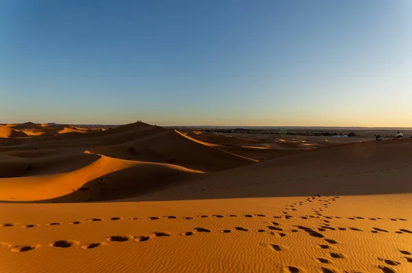 Över Kamelspår Sanden Saharaöknen — Stockfoto