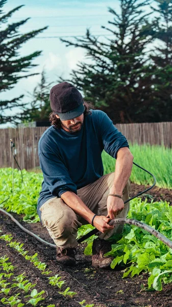 Latino Farmer Working His Vegetable Garden Installing Water Sprinklers Keep — Stock fotografie