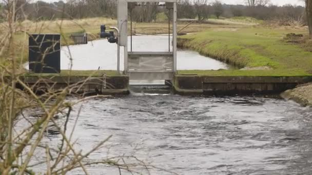 4Kの川の水位計 — ストック動画