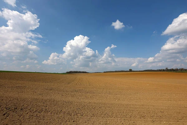 Paisaje Primaveral Con Tierra Cultivable Prados — Foto de Stock