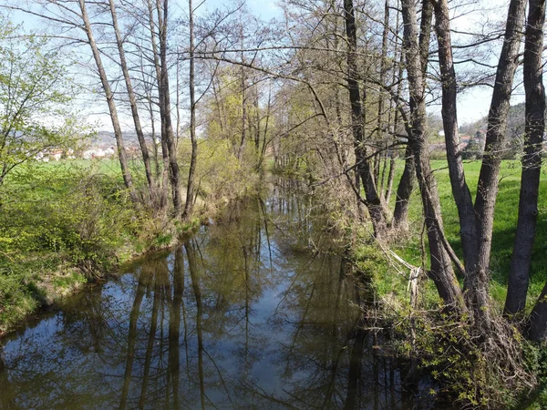 Zielony Krajobraz Rzeką Drzewami — Zdjęcie stockowe