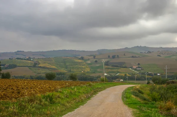 Paisaje Rural Con Camino — Foto de Stock