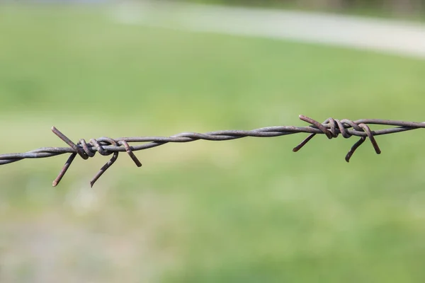 Regels Van Roestig Prikkeldraad Aan Voormalige Ijzeren Gordijngrens Oostenrijk Hongarije — Stockfoto