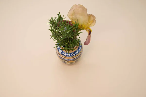 Крупним Планом Традиційна Ваза Гілками Розмарину Квітка Ірису Кремовій Поверхні — стокове фото