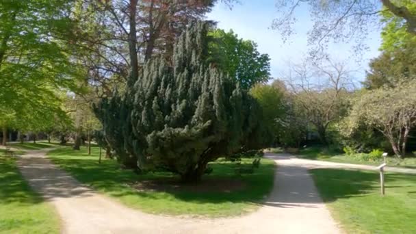 Una Hermosa Vista Del Sendero Junto Con Árboles Petit Jard — Vídeos de Stock