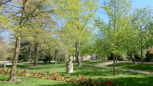 Pittoresk Uitzicht Prachtige Bloemen Groeien Groen Park Het Voorjaar Zonnige — Stockvideo