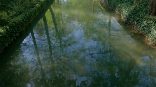 Malerischer Blick Auf Den Fluss Grünen Park Sonnigen Frühlingstag — Stockvideo