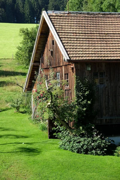 Een Oud Houten Dorpshuis Het Pittoreske Groene Landschap — Stockfoto