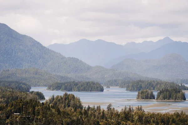 Les Magnifiques Paysages Une Réserve Parc National Pacific Rim Bamfield — Photo