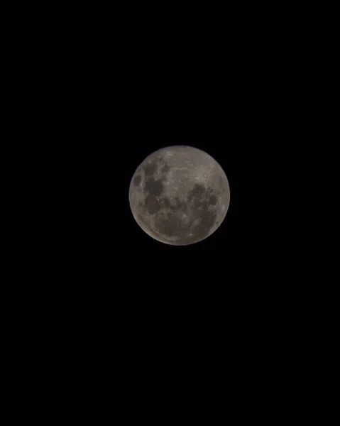 Vertical Shot Fullmoon Night — Stock Photo, Image