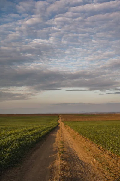 Vertical Shot Path Green Field Cloudy Sky — Stock Photo, Image