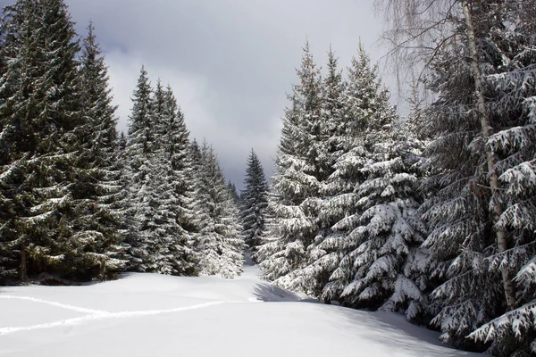 Una Hermosa Vista Paisaje Invernal Con Árboles Cubiertos Nieve —  Fotos de Stock