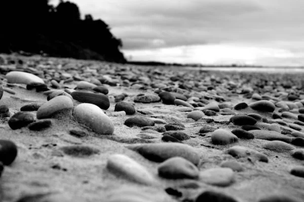 Primer Plano Escala Grises Piedras Redondas Una Playa — Foto de Stock