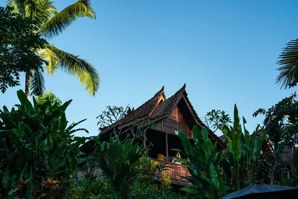 Zbliżenie Ujęcie Drewnianego Domu Tropikalnym Krajobrazie Słoneczny Dzień — Zdjęcie stockowe