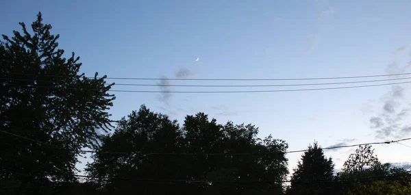 Silhouetten Van Bomen Tegen Avond Lucht — Stockfoto