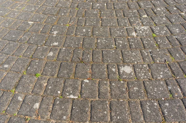 Closeup Shot Brick Way Background — Stock Photo, Image