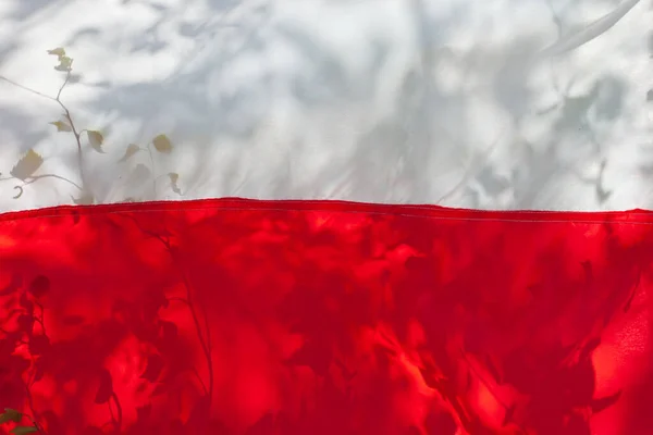 Detailní Záběr Polské Vlajky Stíny Stromů — Stock fotografie