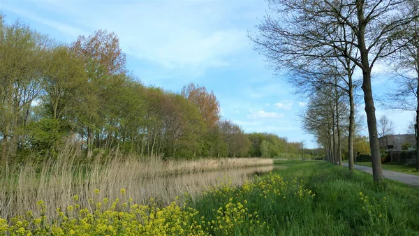 Ein Sonniger Park Mit Einem Fluss Zwischen Zwei Rasenflächen Und — Stockfoto