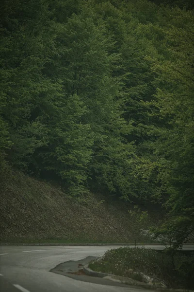 Вертикальний Постріл Заміської Дороги Оточенні Зелені — стокове фото
