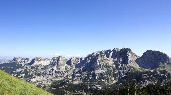 Ett Vackert Landskap Steniga Berg Med Granar Som Växer Dem — Stockfoto