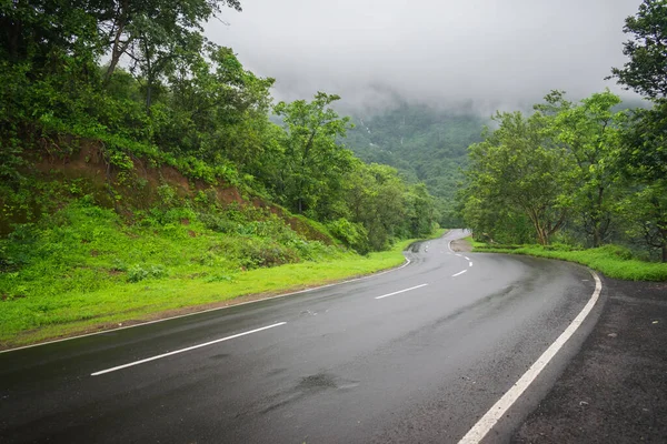 Closeup Shot Rainy Way Surrounded Trees Foggy Day — Stock Photo, Image