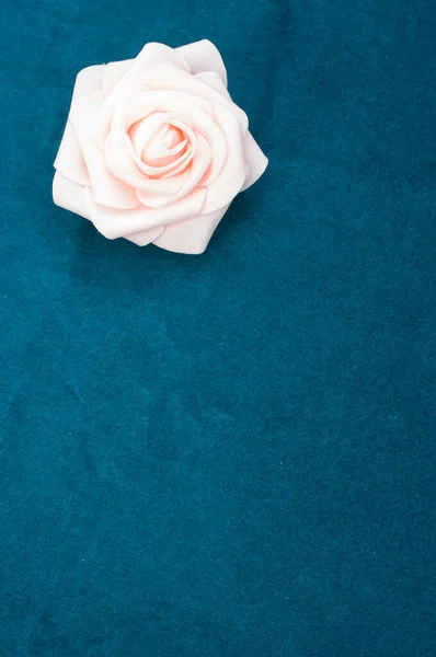 Tiro Vertical Uma Flor Branca Fundo Azul Escuro — Fotografia de Stock