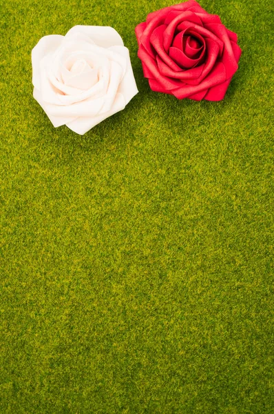 Tiro Vertical Rosas Vermelhas Brancas Fundo Grama Verde — Fotografia de Stock