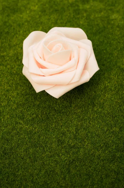在绿草的背景上 一朵白玫瑰的垂直拍 — 图库照片